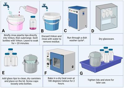 Reusable glassware for routine cell culture—a sterile, sustainable and affordable alternative to single-use plastics